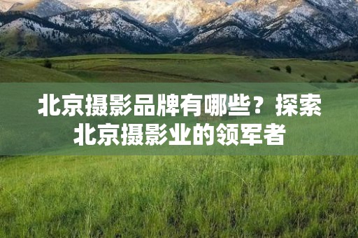 北京摄影品牌有哪些？探索北京摄影业的领军者