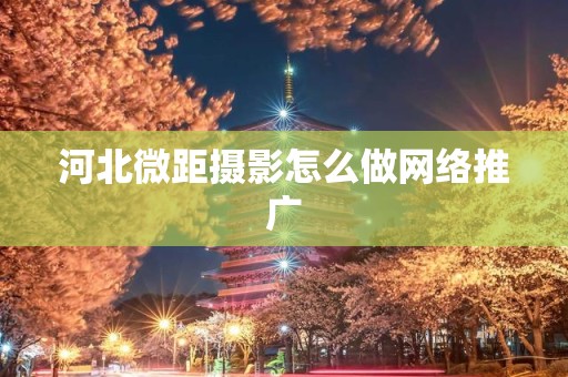 河北微距摄影怎么做网络推广